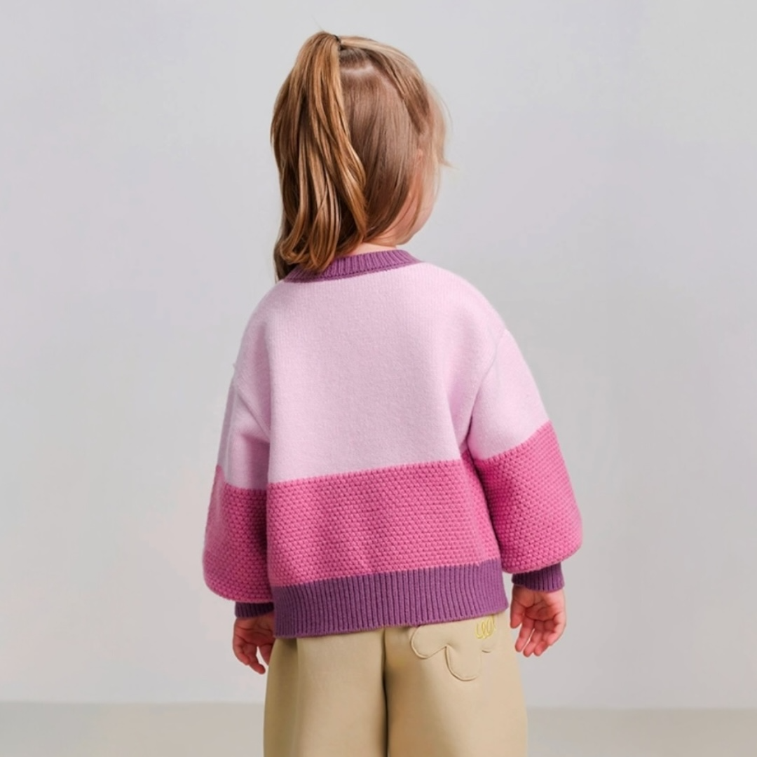 AWCBS- Colorblock Sweater