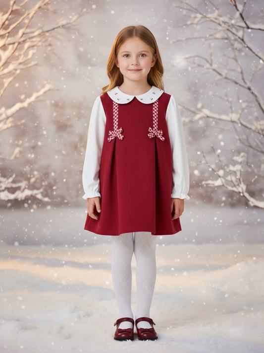 AW26- Winter Berry Dress