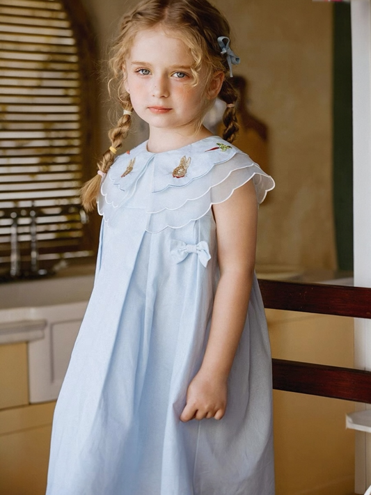 Blue Charm Dress