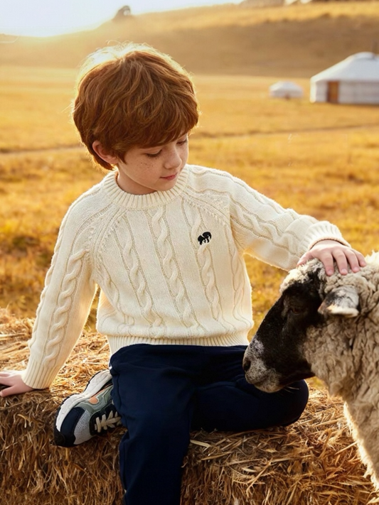 AW26- Merino Wool Sweater