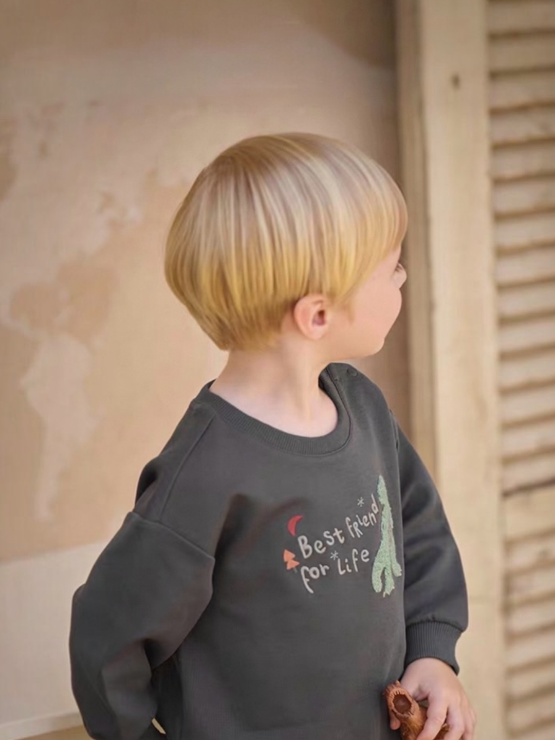 FW26 - DINO SWEATSHIRT