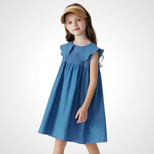 Denim Delight A-Line Dress