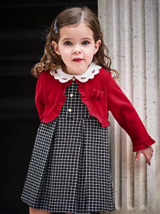AW26 – Red Plaid Dress